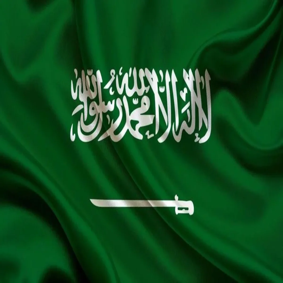 العلم السعودي