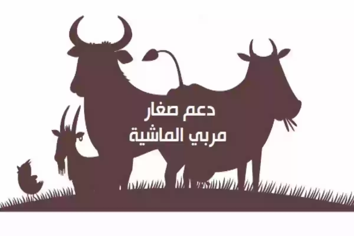 بعد التعديل.. وزارة البيئة والمياه والزراعة تعلن سعر المواشي