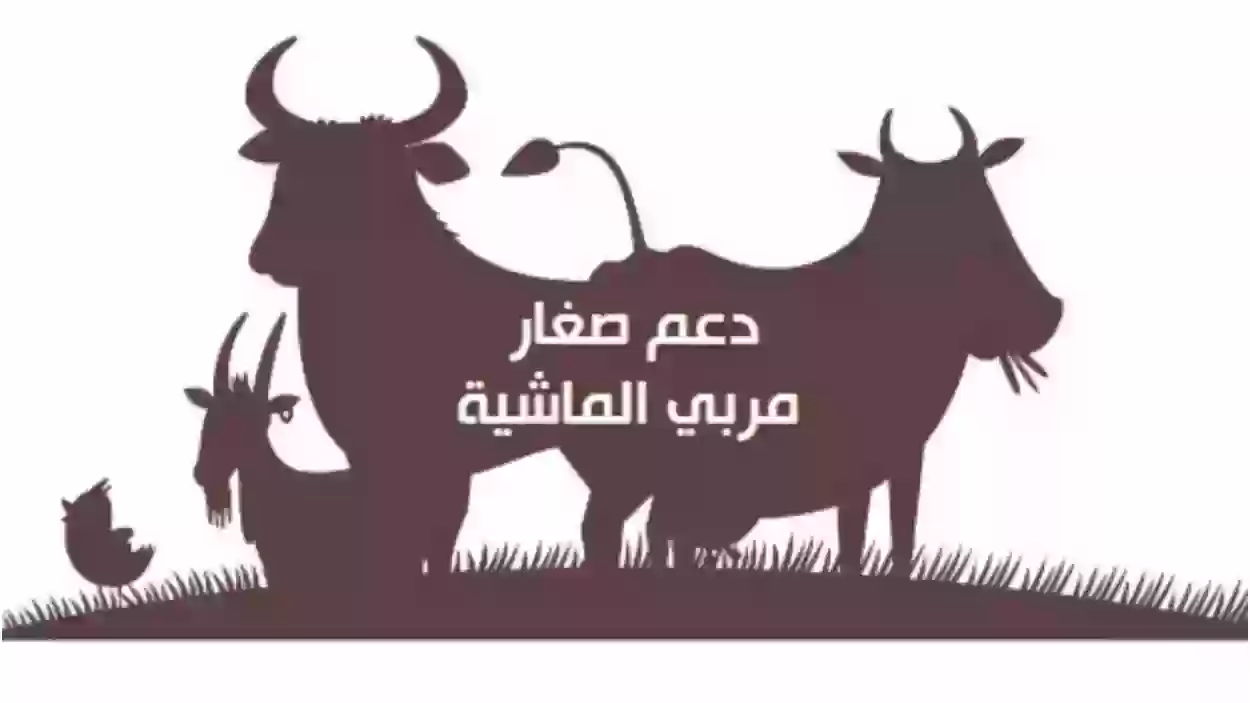 كم عدد المواشي التي تستحق الدعم