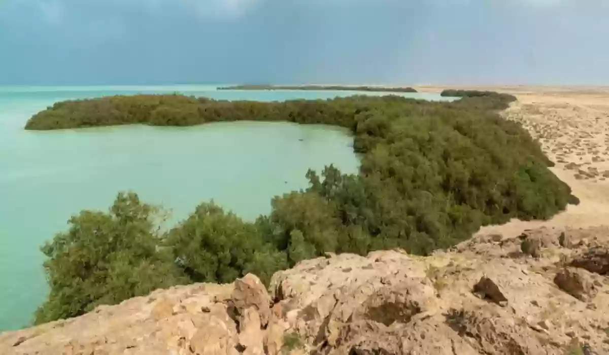 قائمة الجزر السياحية في السعودية 2024